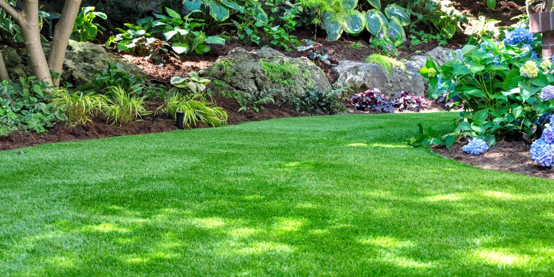Well manicured lawn & garden - Turf Care Basics