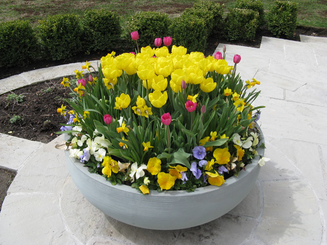 Urns Don't Just Belong On Your Steps. How to Use Them in Your Garden.