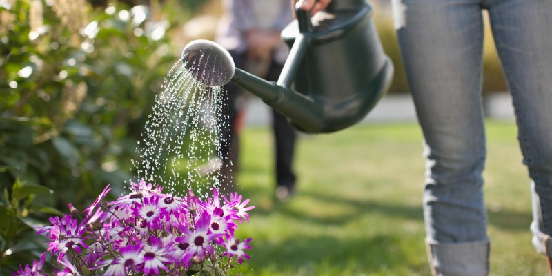 Woman watering flowers with a watering can