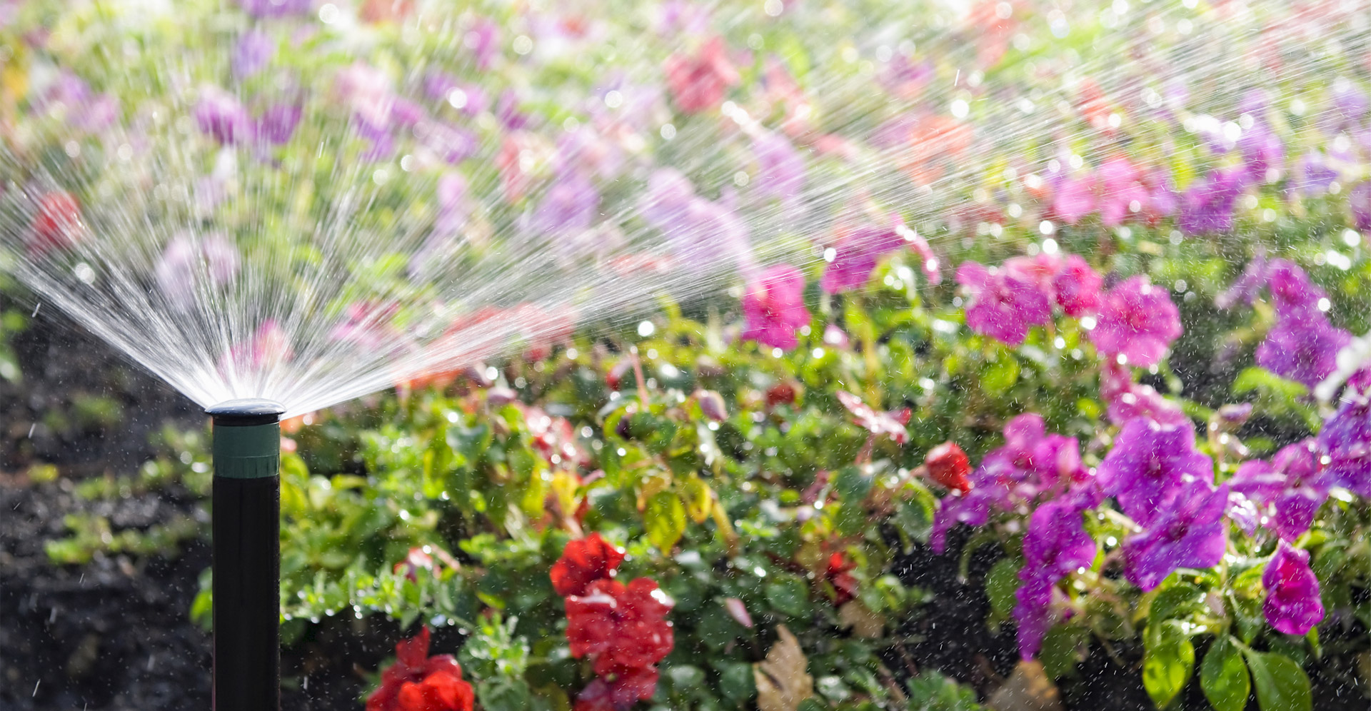 Lawn Sprinklers & Irrigation Systems Toronto
